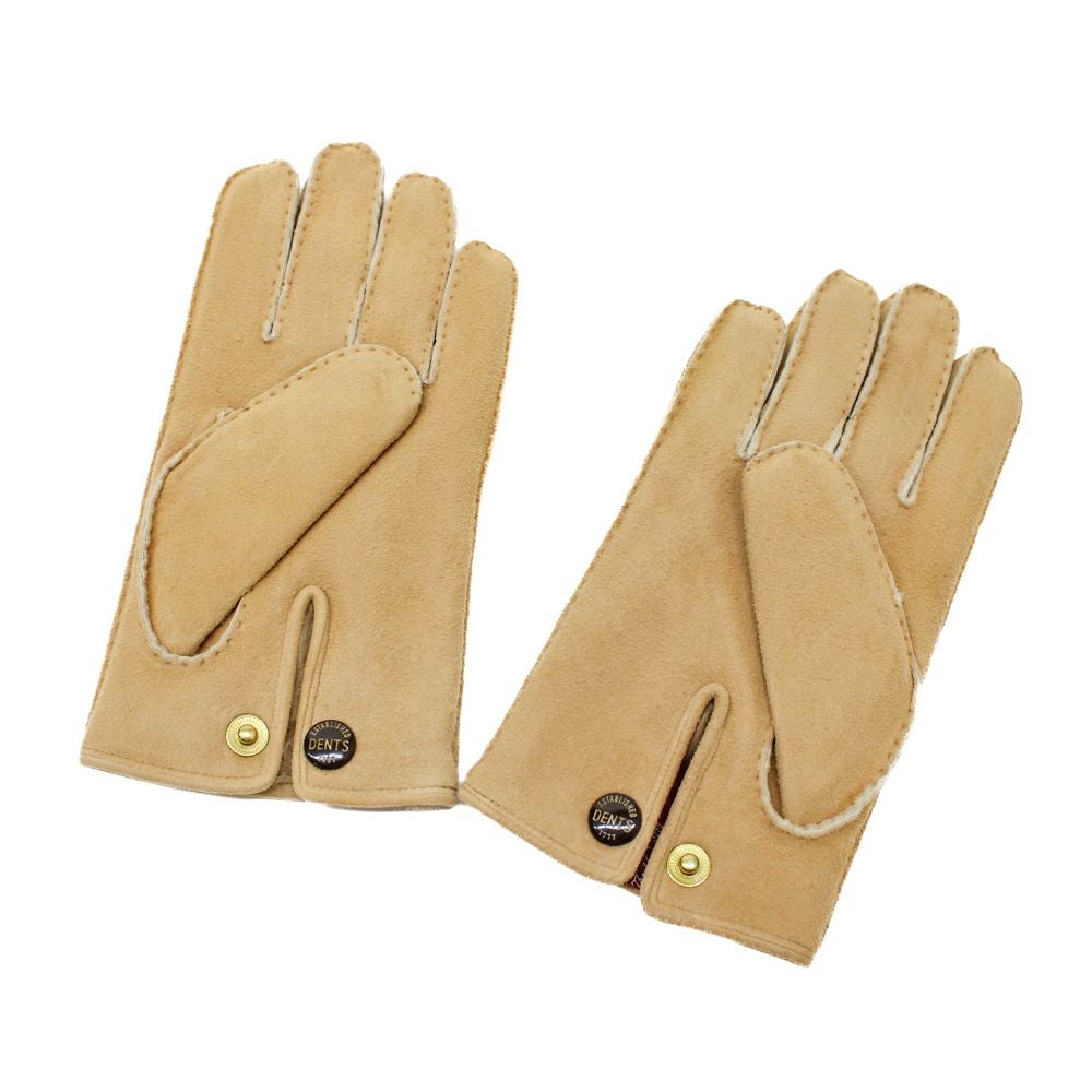 DENTS デンツ バックスキン グローブ 【キャメル】 | RING JACKET